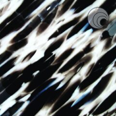 OCEANSIDE Spirit 4001s-F